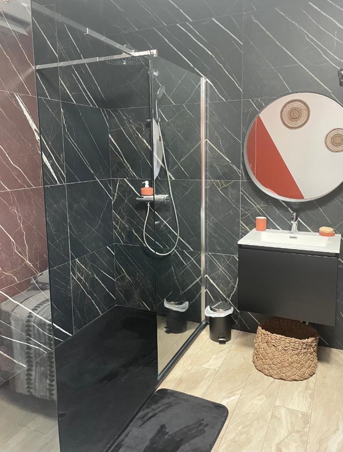 Studio Cosy Tt Confort Proche Aeroport 科隆别索尼约 外观 照片